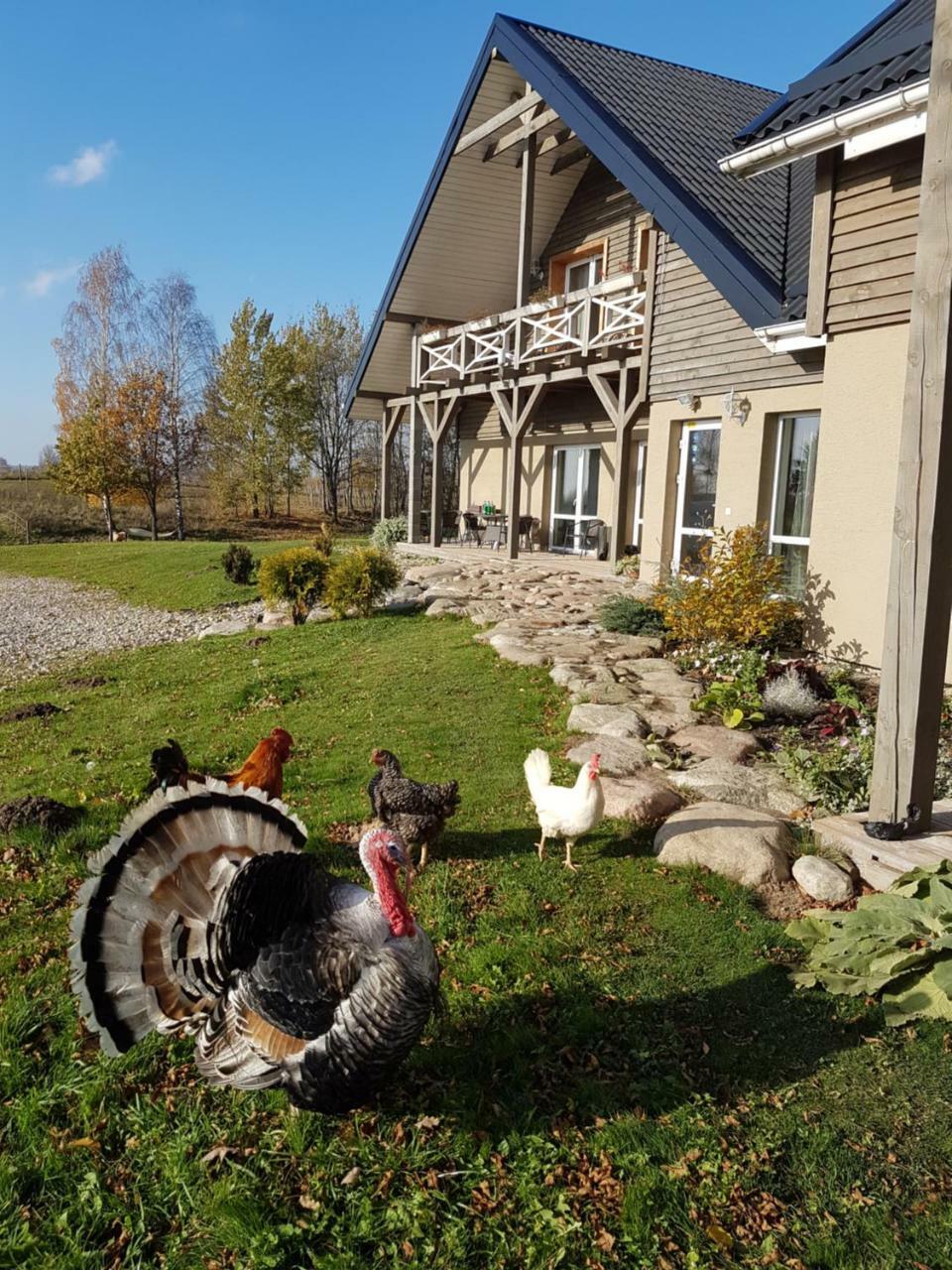 Villa Cheval Aukštadvaris エクステリア 写真