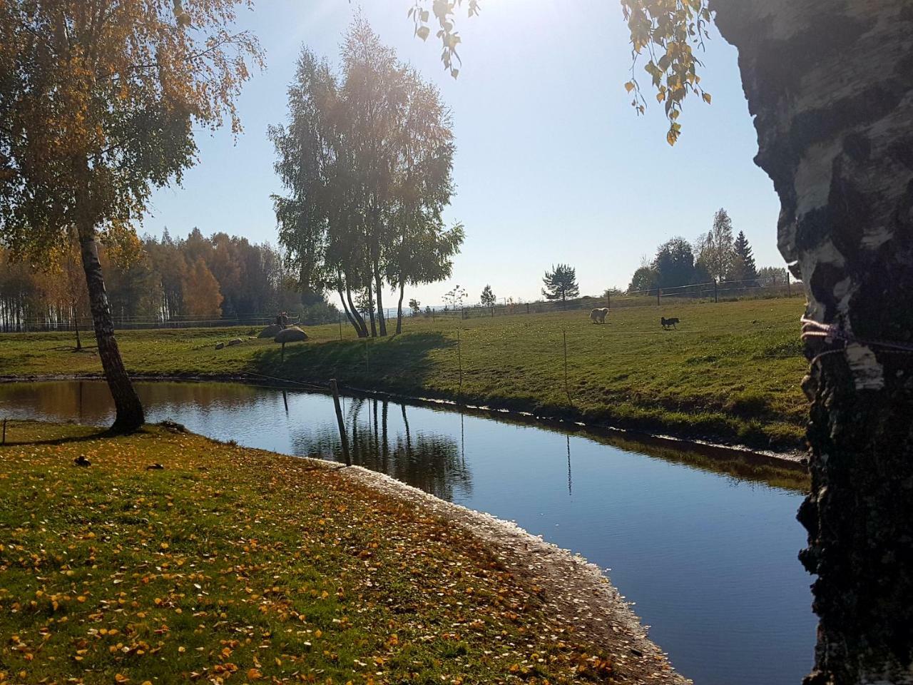 Villa Cheval Aukštadvaris エクステリア 写真