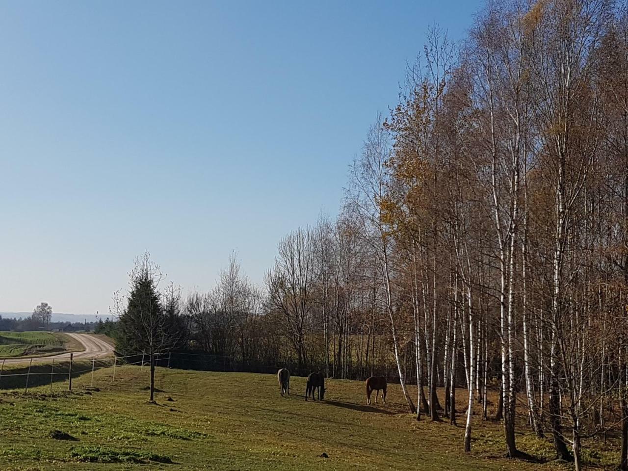 Villa Cheval Aukštadvaris エクステリア 写真