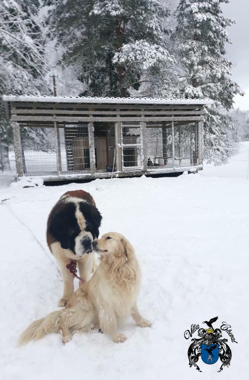 Villa Cheval Aukštadvaris エクステリア 写真