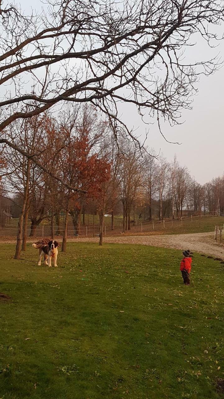 Villa Cheval Aukštadvaris エクステリア 写真