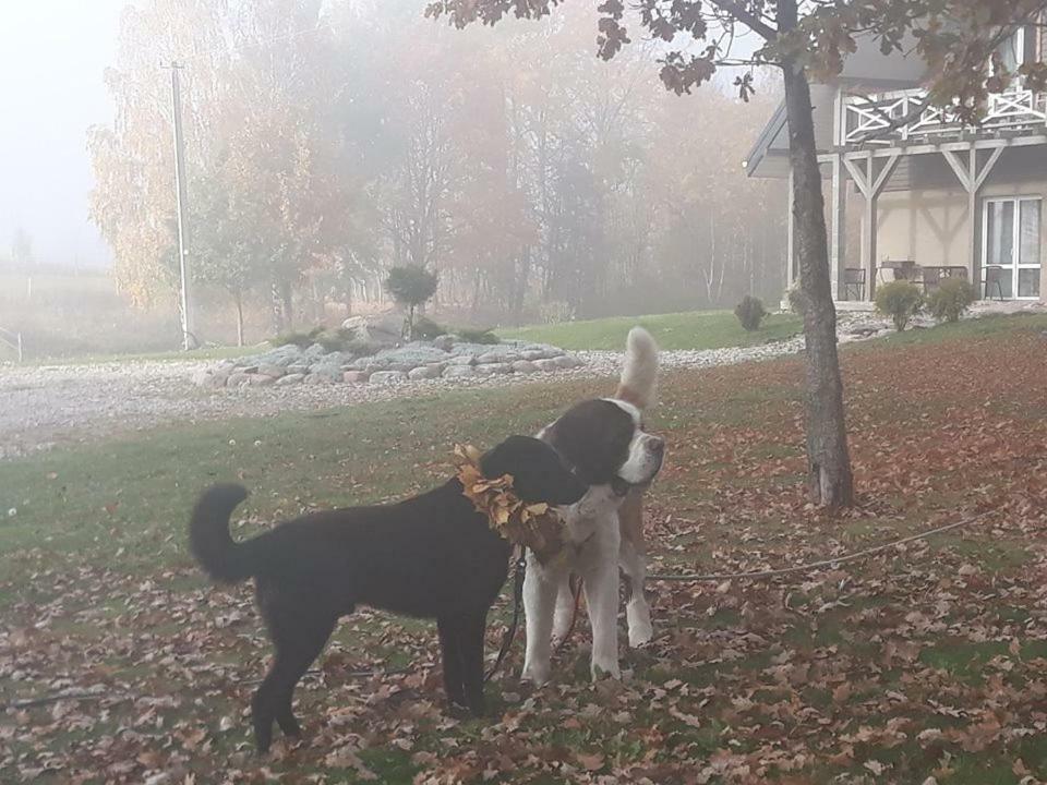 Villa Cheval Aukštadvaris エクステリア 写真