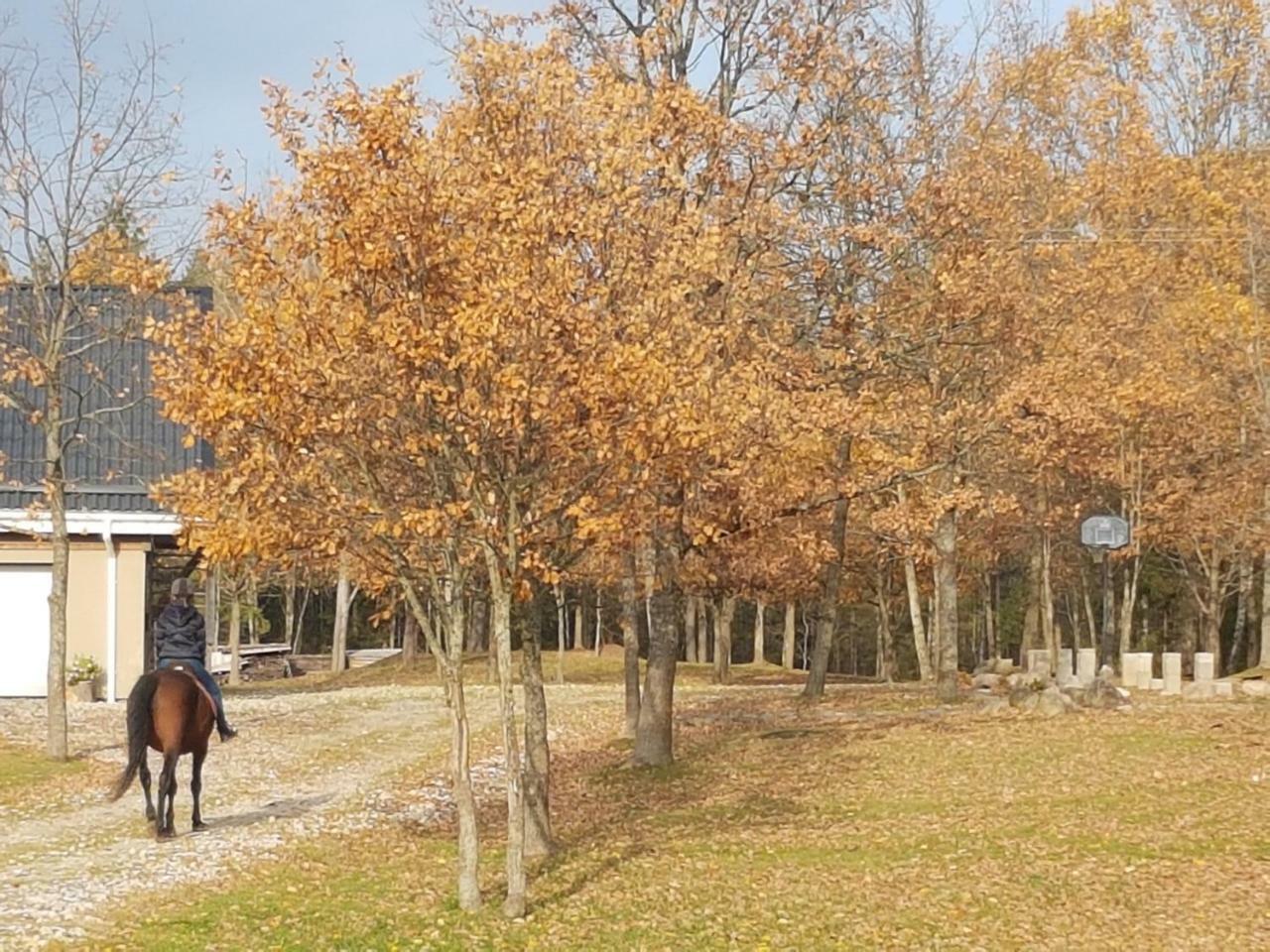 Villa Cheval Aukštadvaris エクステリア 写真